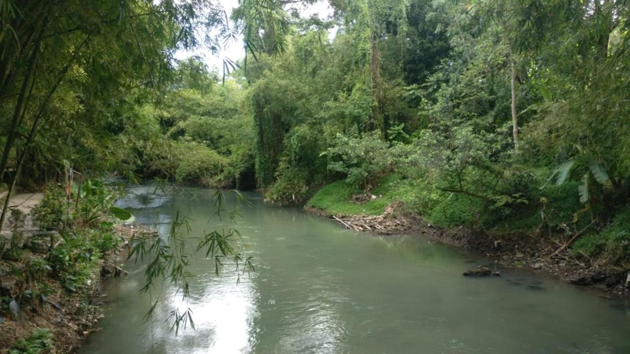Gerbang Banyu Langit Cottage Bantul Ngoại thất bức ảnh